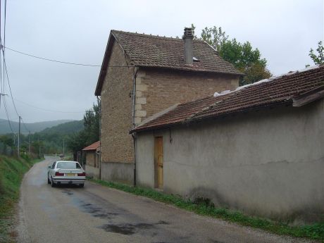 Avant