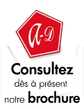 Travaux Lyon