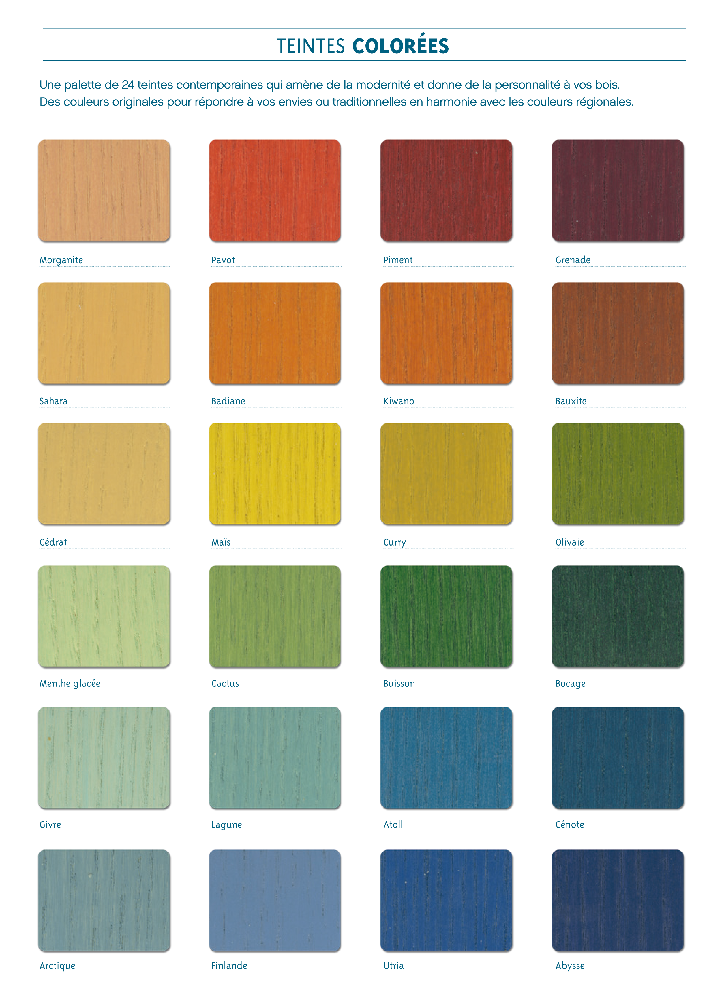 Zolpan Intensement Couleur Oveetechcom