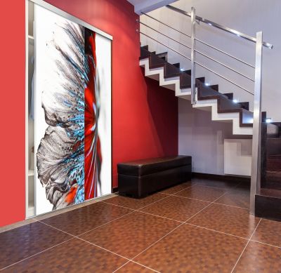 Portes de placard déco en 2 vantaux