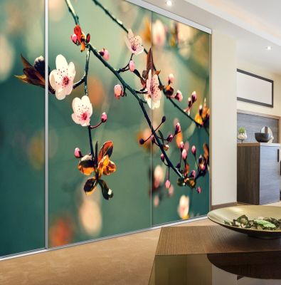 Portes de placard nature en 3 vantaux