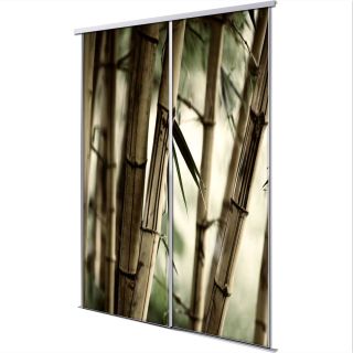 Portes en 2 vantaux coulissantes