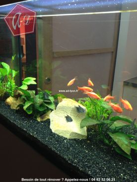Quoi de plus jolie une porte japonaise avec un aquarium