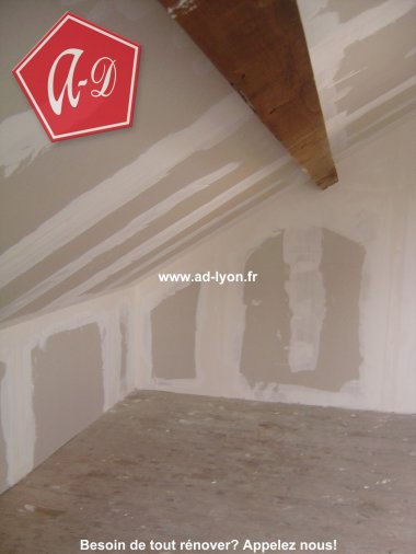 Cloison et plafond en placo simple ou doubleau peau ?