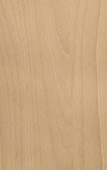 section claustra hêtre 32x70 mm